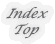 Index
Top
